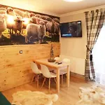 Apartment U Paliderki Poronin