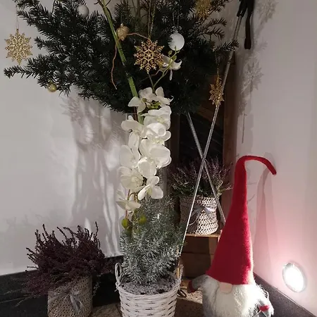 U Paliderki * Poronin